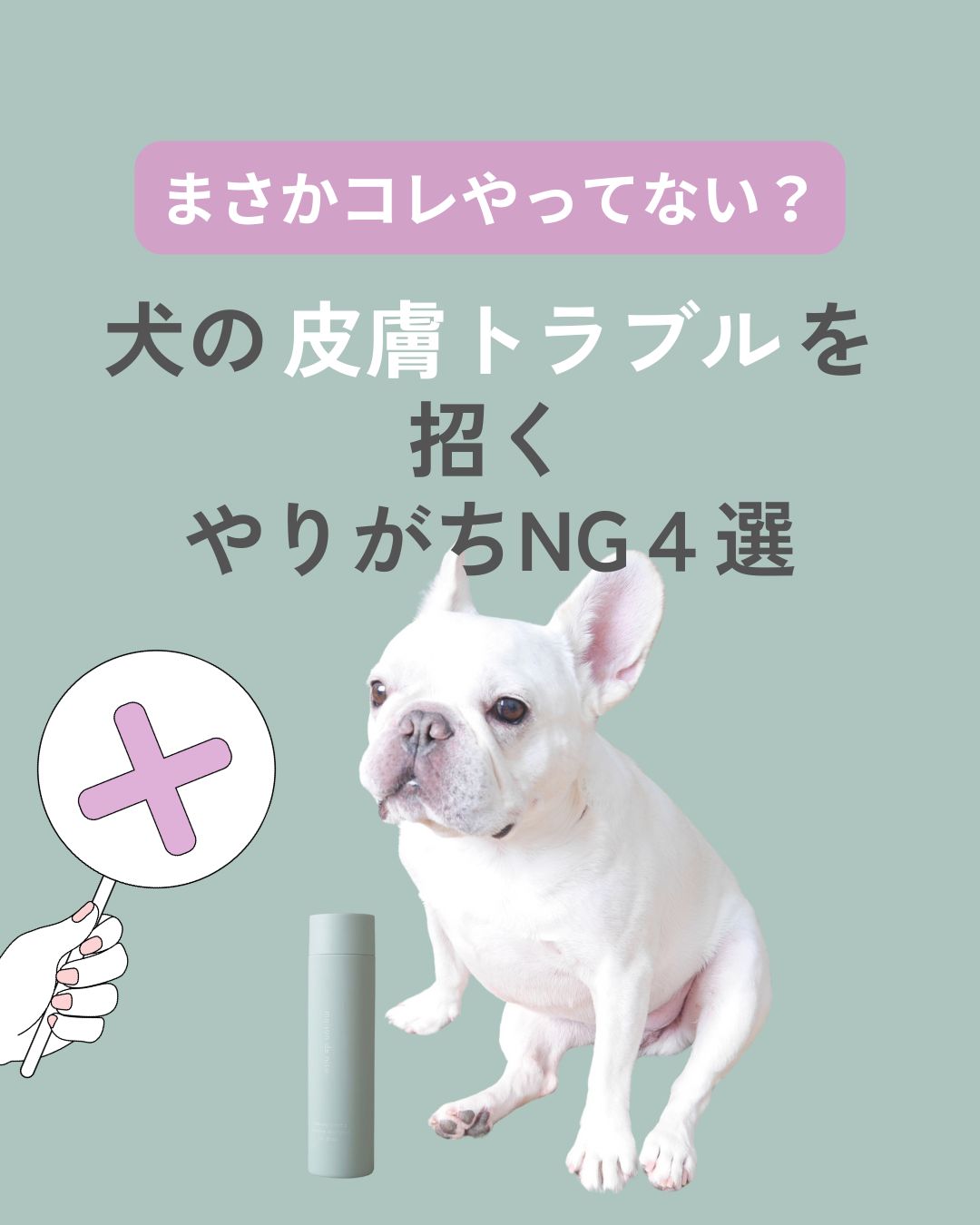 まさかコレやってない!? 愛犬の皮膚トラブルを招く「やりがちNG」4選