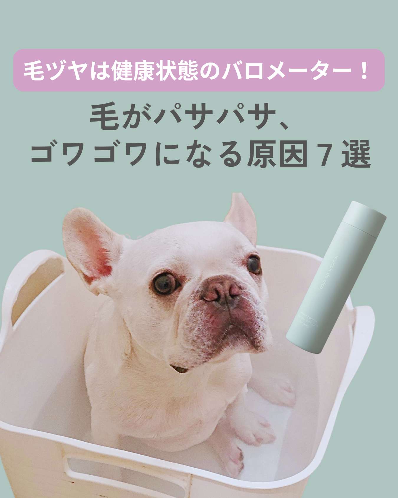 毛ヅヤは健康状態のバロメーター！ 毛がパサパサ、ゴワゴワになる原因７つ