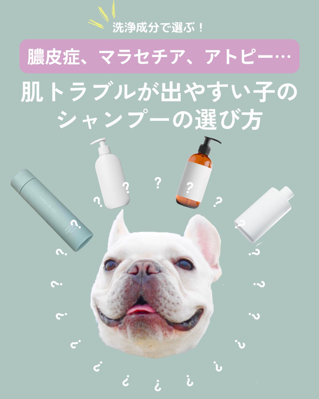 肌が弱い犬に最適なのは？「界面活性剤の種類と選び方」