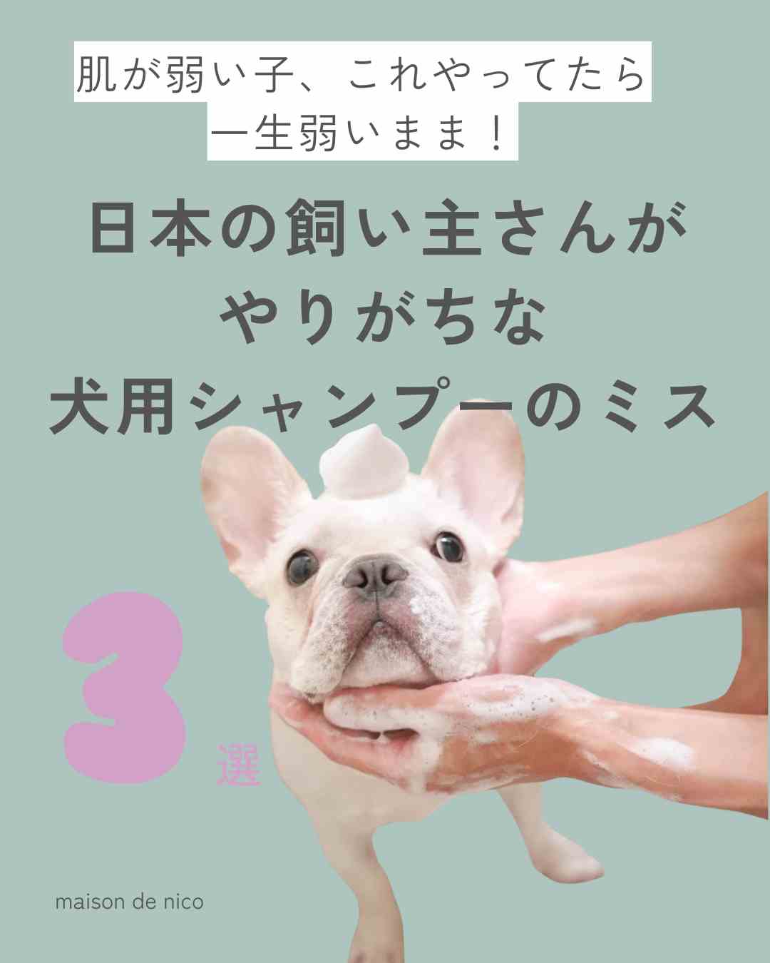 【これやってたら一生、肌が弱いまま！】日本人飼い主がやりがちな犬用シャンプーの選び方ミス