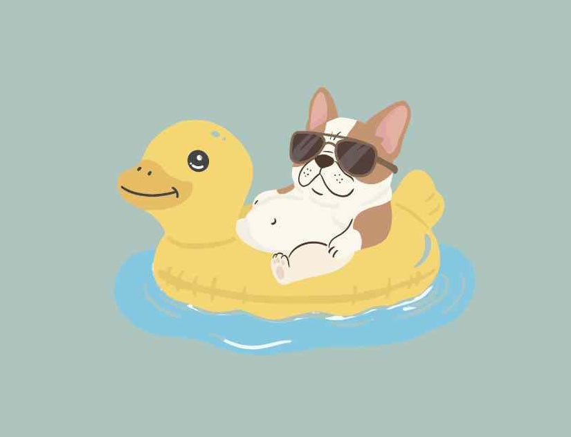 夏こそ保湿が重要！皮ふが弱い犬の飼い主さんほど知ってほしい皮ふケアの落とし穴