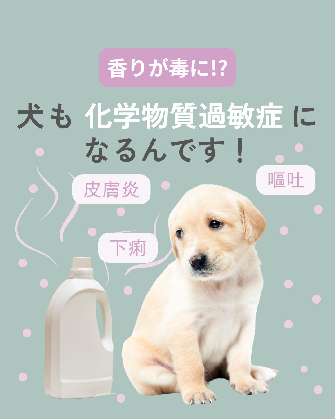 香りが毒に!? 犬も「化学物質過敏症」になるんです